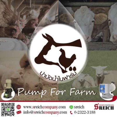ปั๊มจ่ายสารละลาย คลอรีน วิตามิน จุลินทรีย์ สำหรับฟาร์มปศุสัตว์ Pump for Farm...