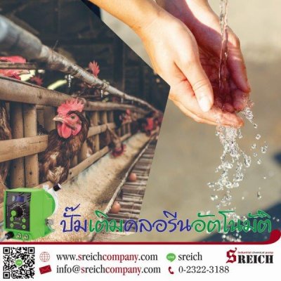 ปั๊มคลอรีน เติมสารละลายอัตโนมัติสำหรับสระว่ายน้ำที่ช่างมืออาชีพเลือก...