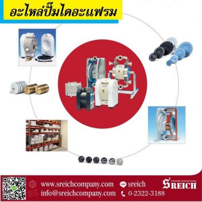 อะไหล่ปั๊มไดอะแฟรม อะไหล่ปั๊มเคมี อะไหล่เครื่องสูบส่งของเหลว-หนืด...