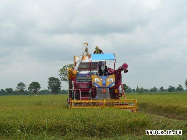 ขายรถเกี่ยวข้าวไทเส็งยนต์ เดี่ยวทรนงจ้าวพายุ