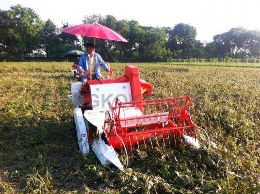 รถเกี่ยวถั่วเขียว 089-5512032