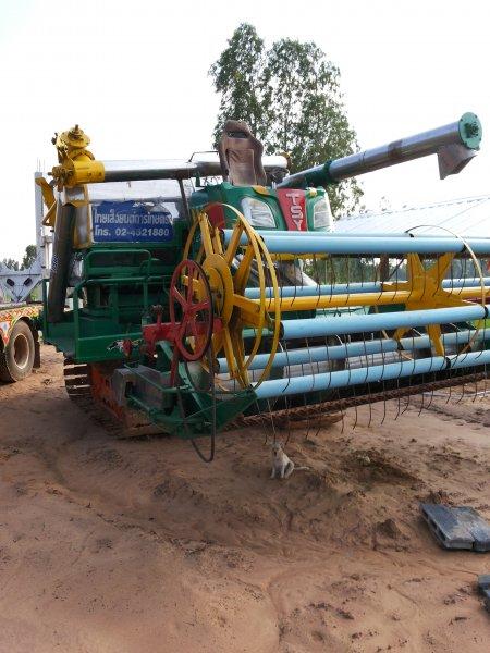 ขายรถเกี่ยวข้าว ไทเส็งยนต์ เครื่องHINO260 TURBOอุ้มปรับระดับ ช่วงล่างเต็ม(รถ2นา)