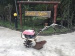 รถไถเดินตามเบนซิน HONDA รุ่น F200 พร้อมผานหัวหมู มือสองญี่ปุ่น เครื่องเกียร์ช่วงล่างสภาพดี ราคาถูก