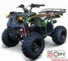 รถมอเตอร์ไซค์ ATV 110 CC และ 125 CC ราคาเริ่มต้นที่ 29,500 บาท 