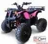 รถมอเตอร์ไซค์ ATV 110 CC และ 125 CC ราคาเริ่มต้นที่ 29,500 บาท 