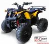 รถมอเตอร์ไซค์ ATV 110 CC และ 125 CC ราคาเริ่มต้นที่ 29,500 บาท 