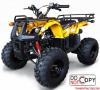 รถมอเตอร์ไซค์ ATV 110 CC และ 125 CC ราคาเริ่มต้นที่ 29,500 บาท 