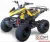 รถมอเตอร์ไซค์ ATV 110 CC และ 125 CC ราคาเริ่มต้นที่ 29,500 บาท 