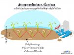 เครื่องดำนา BRAVO รุ่น X-SERIES เครื่องแรกของโลก