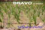 เครื่องดำนา BRAVO รุ่น X-SERIES เครื่องแรกของโลก