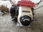  รถเกี่ยวข้าวเดินตาม YANMAR YB302 รหัสสินค้า : 80802328 Line ID: nihonmono นิฮอนโมโน 08182823376