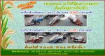 โปรโมชั่น!!! เดือนเมษายน นิฮอนโมโน ลดราคาสินค้ากว่า 200 รายการ หมดเขต 30 เม.ย. 58 หมดแล้วหมดเลยจ้า !!!