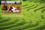 รถเกี่ยวข้าวเล็ก รุ่นใหม่ 089-5512032 