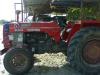 ขายรถไถ massey ค่ะ