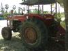 ขายรถไถ massey ค่ะ