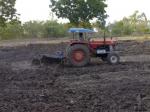 MASSEY  165