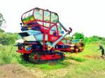 ขายรถเกี่ยวข้าว ไทยเส็งยนต์ รุ่นมดตะนอย ทำเครื่องใหม่ แรง พร้อมใช้งาน !!!