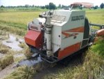 ขายรถเกียวข้าวKUBOTA DC 70 G ปี 55 สภาพพร้อมใช้งานสวยมาก ทำงานได้ 1307.4 ซ.ม สนใจโทร 0810707634