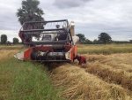 ขายรถเกี่ยวข้าวKUBOTA DC68G ระบบอุ้ม สภาพดี เกี่ยวเร็ว ทำงานคล่อง เครื่องดี ช่วงล่างแน่น สภาพพร้อมใช้งาน เอกสารเล่มทะเบียนพร้อมโอน สนใจโทร 090-8588220