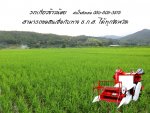 รถเกี่ยวข้าวน้อย 086-8053515