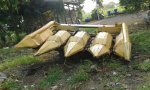 ขาย รถเกี่ยวข้าวโพด เกี่ยวทานตะวัน New Holland 545