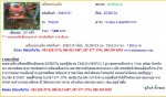 ขายถูก เครื่องพรวนดิน KUBOTA TMA20 รหัสสินค้า : 80802597 Line ID: nihonmono
