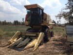 ขายรถเกี่ยวข้าวโพด New holland 8070