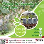 ปั๊มเติมสารละลาย สารส้ม คลอรีน ปรับสภาพน้ำในบ่อ น้ำบาดาล น้ำผิวดิน น้ำดิบ แก้ปัญหาน้ำเป็นกรด-ด่าง ระบบสาธารณูปโภค