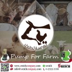 กระบวนการเติมสารแต่งกลิ่น รสชาติ ในกระบวนการผลิตอาหารสัตว์
