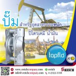 ปั๊มน้ำมัน ปั๊มสารทำละลายในงานปิโตรเคมี