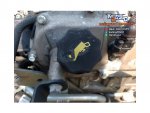 Turbo สวย ????เครื่องยนต์ดีเซล MITSUBISHI รุ่นใหม่ ระบบคอมมอนเรล  ????FUSO รุ่น  4P10 ขนาด150แรงม้า  พร้อมชุดเกียร์  ????มือ2ญี่ปุ่น มีใบอินวอยซ์ ????
