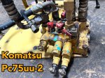 คอนโทรน pc75uu-2 komatsu ขายอะไหล่แบคโฮ 0814023939